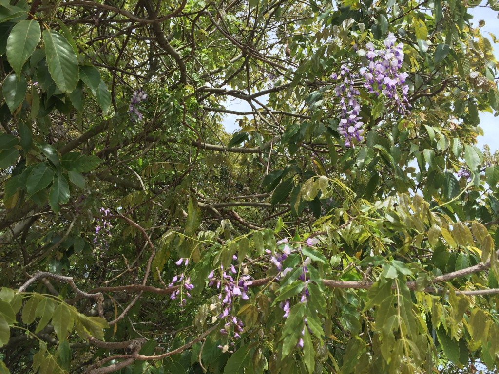 田中神社