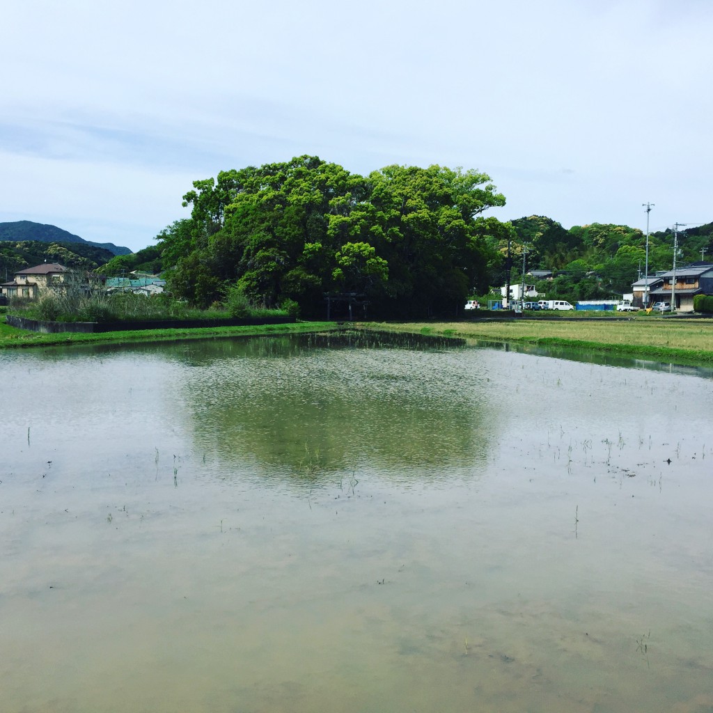 田中神社