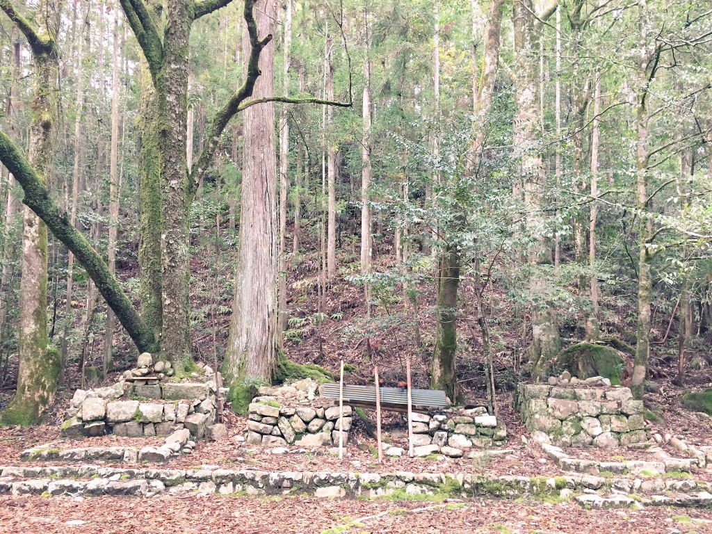 畝畑の高倉神社