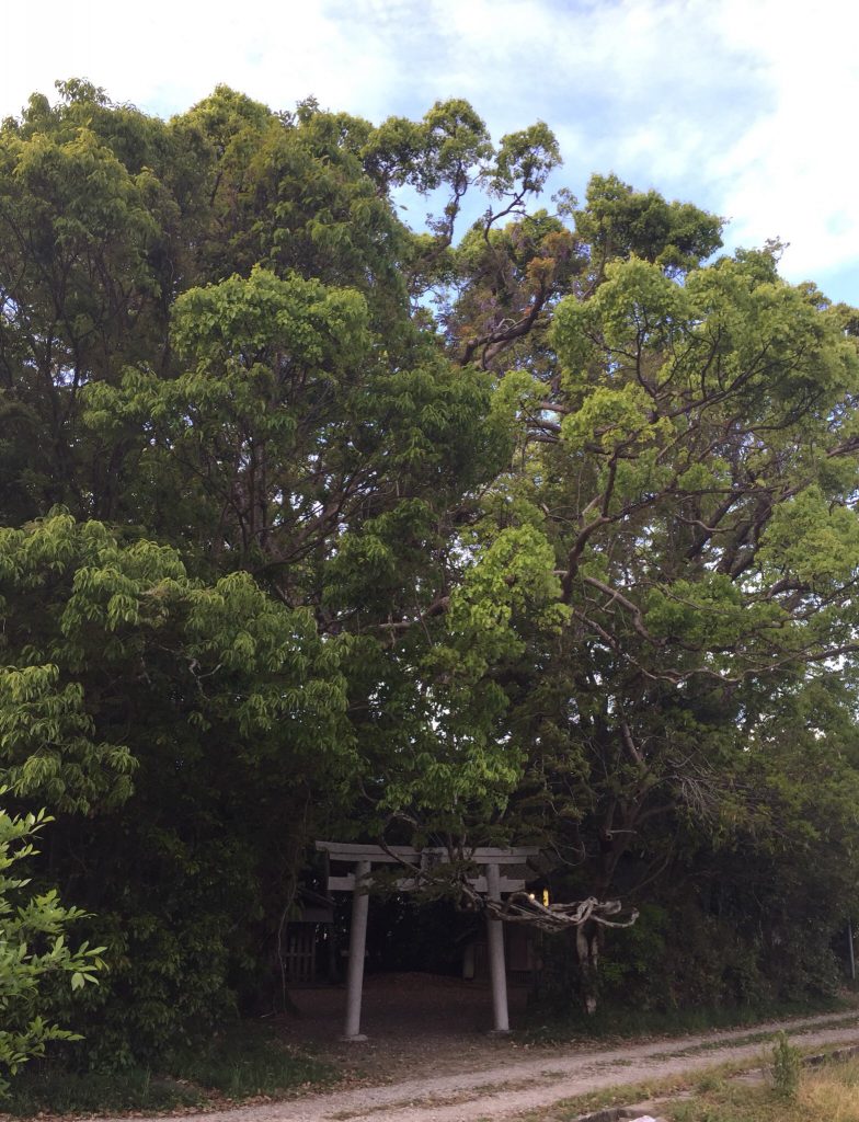 田中神社