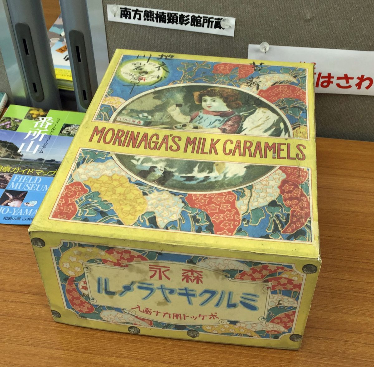 ウガ、地衣、クモ、オカヤドカリ、菌類、変形菌。熊楠が昭和天皇にお見せした標本