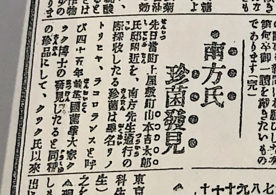 大正7年（1918年）11月29日付『牟婁新報』