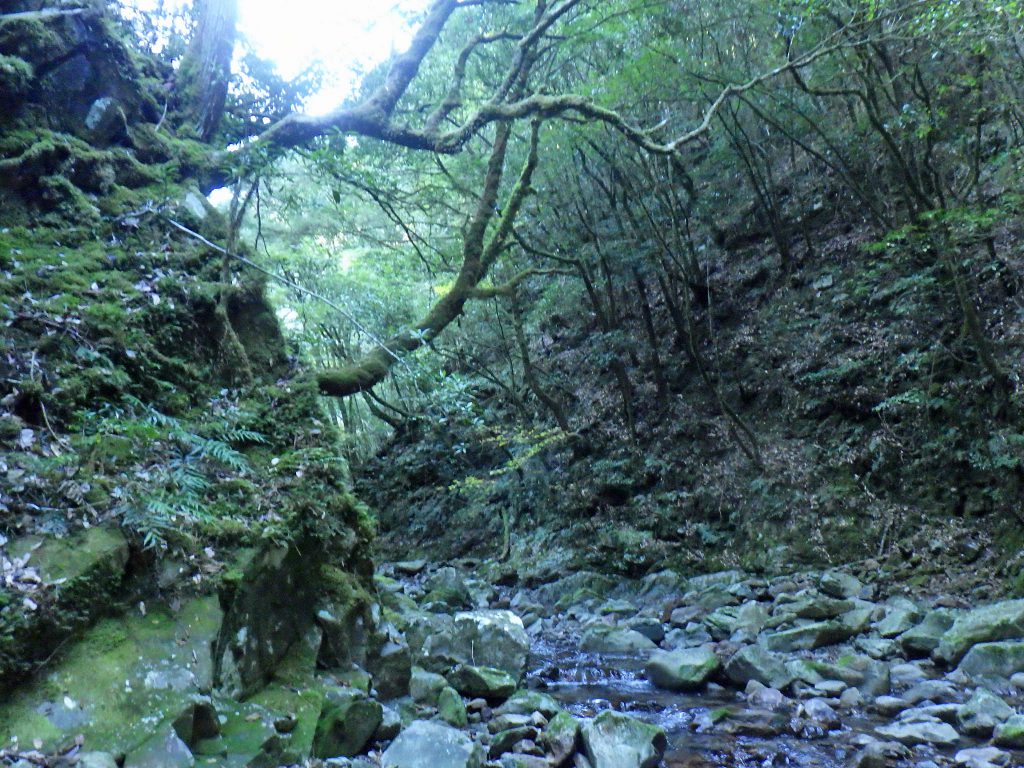 昔の県道