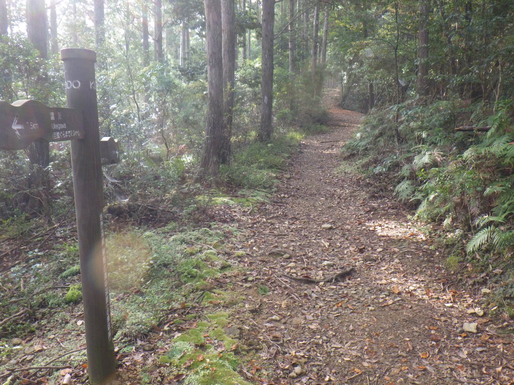 熊野古道