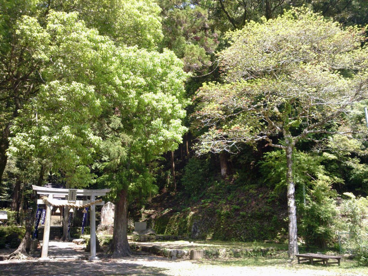 神社の森はアサイラム